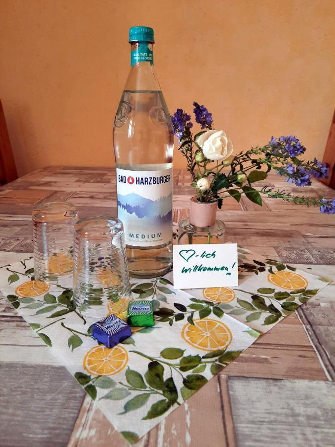 Ferienwohnung Zur Alten Post Lutzen ภายนอก รูปภาพ